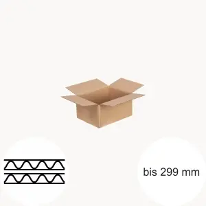 2-wellige Kartons bis 299 mm Länge
