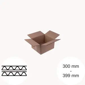 2-wellige Kartons bis 399 mm Länge