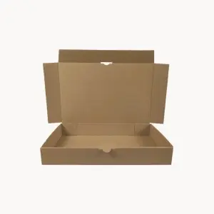 Maxibriefkarton