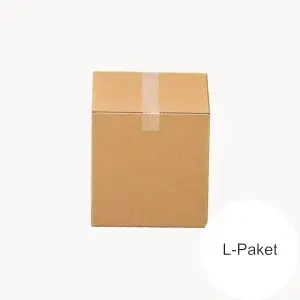 DPD L-Paket Versandkarton