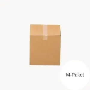 GLS M-Paket Versandkarton