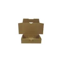Maxibrief-Karton 180x130x45 mm braun DIN A6