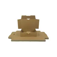Maxibrief-Karton 180x130x45 mm braun DIN A6
