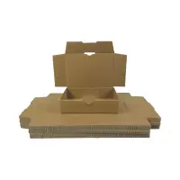 Maxibrief-Karton 180x130x45 mm braun DIN A6