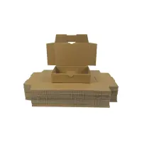 Maxibrief-Karton 180x130x45 mm braun DIN A6