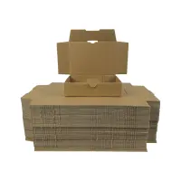 Maxibrief-Karton 180x130x45 mm braun DIN A6