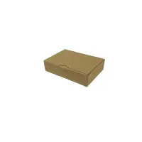 Maxibrief-Karton 180x130x45 mm braun DIN A6
