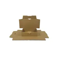 Maxibrief-Karton 180x130x45 mm braun DIN A6