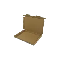 Großbrief-Karton 23x16x2 cm braun DIN A5 Faltschachtel