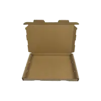 Großbrief-Karton 23x16x2 cm braun DIN A5 Faltschachtel