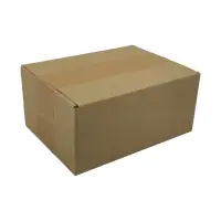 Karton 20x15x9 cm für Hermes Päckchen & GLS XS Paket Versandkarton 200 x 150 x 90 mm Faltkarton Fefco 0201