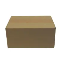 Karton 20x15x9 cm für Hermes Päckchen & GLS...