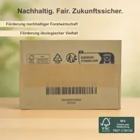 Karton 20x15x9 cm für Hermes Päckchen & GLS XS Paket Versandkarton 200 x 150 x 90 mm Faltkarton Fefco 0201