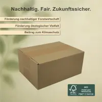 Karton 20x15x9 cm für Hermes Päckchen & GLS XS Paket Versandkarton 200 x 150 x 90 mm Faltkarton Fefco 0201