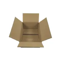 Karton 20x15x9 cm für Hermes Päckchen & GLS XS Paket Versandkarton 200 x 150 x 90 mm Faltkarton Fefco 0201