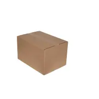 Karton 42x30x25 cm - Versandkarton 427x304x250 mm - zweiwelliger Faltkarton