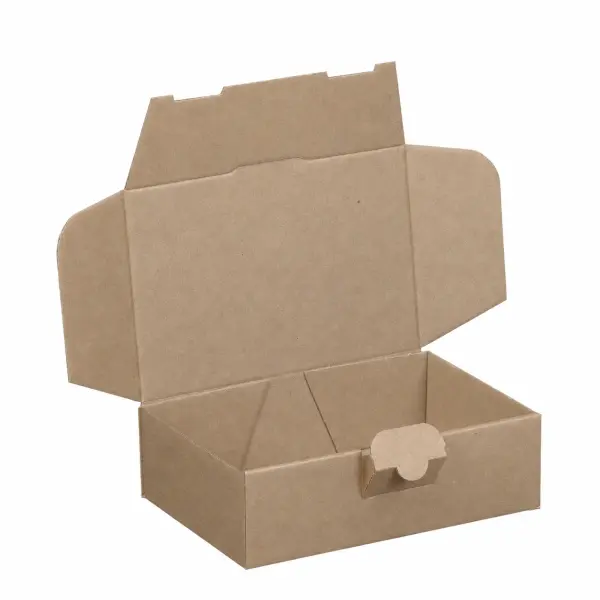 Maxibrief-Karton 160 x 110 x 50 mm braun
