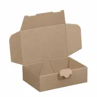 Maxibrief-Karton 160 x 110 x 50 mm braun
