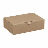 Maxibrief-Karton 160 x 110 x 50 mm braun