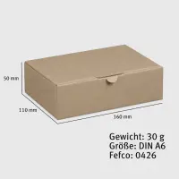 Maxibrief-Karton 160 x 110 x 50 mm braun