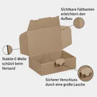 Maxibrief-Karton 160 x 110 x 50 mm braun