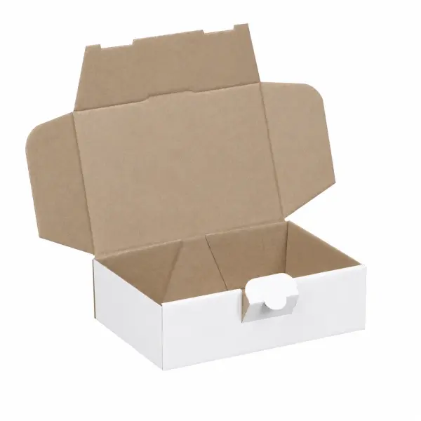 Maxibrief-Karton 160 x 110 x 50 mm weiß