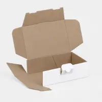 Maxibrief-Karton 160 x 110 x 50 mm weiß