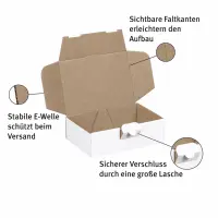 Maxibrief-Karton 160 x 110 x 50 mm weiß