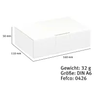Maxibrief-Karton 160 x 110 x 50 mm weiß