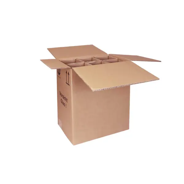 Flaschenkarton 310 x 215 x 398 mm für 6 Flaschen