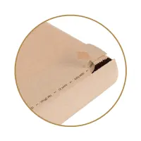 Retouren-Versandtasche aus Papier 300x190x50 mm mit 2...