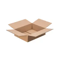 DHL-Kleinpaket-Karton 25x20x8 cm - Versandkarton...