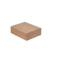 DHL-Kleinpaket-Karton 25x20x8 cm - Versandkarton...