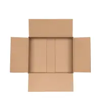 DHL-Kleinpaket-Karton 25x20x8 cm - Versandkarton 250x200x80 mm - Fefco 0201 Faltkarton