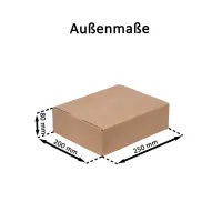 DHL-Kleinpaket-Karton 25x20x8 cm - Versandkarton 250x200x80 mm - Fefco 0201 Faltkarton