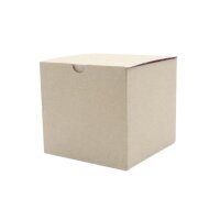 Automatikkarton Speedy 120 x 120 x 110 mm