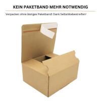 Automatikboden-Karton 21,3 x 15,3 x 10,9 cm
