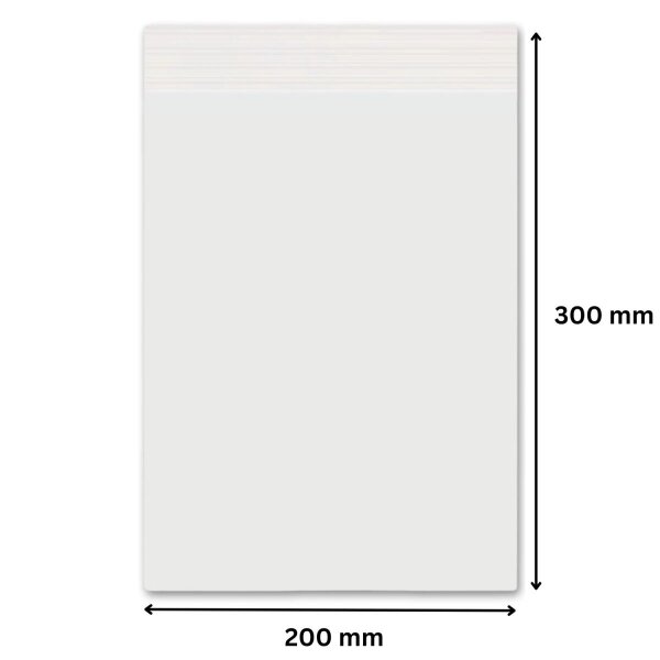 Druckverschlussbeutel 300 x 200 mm 90 µm
