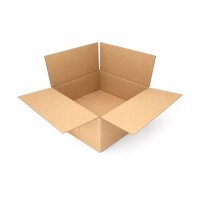 Karton 25 x 25 x 10 cm - Faltkarton 1-wellig
