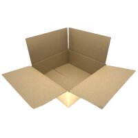Karton 30,5 x 30,5 x 16 cm - Versandkarton Fefco 0201 -...