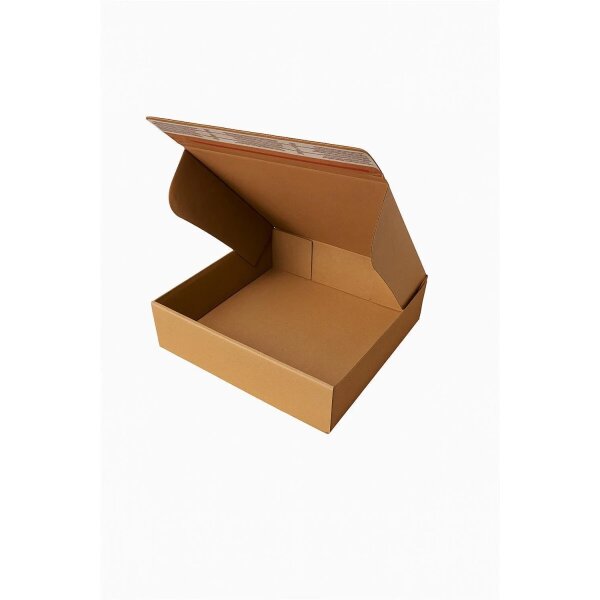 Faltschachtel 25,5 x 24,5 x 8 cm - Versandkarton DHL Kleinpaket - Faltkarton 1-wellig