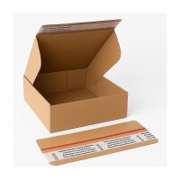 Faltschachtel 25,5 x 24,5 x 8 cm - Versandkarton DHL...
