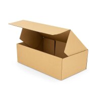 Faltschachtel 24 x 16 x 8 cm - Versandkarton DHL...
