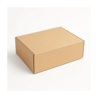Faltschachtel 24 x 16 x 8 cm - Versandkarton DHL...