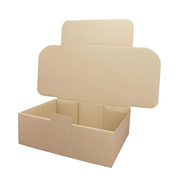 Faltschachtel 31 x 23 x 11 cm - Versandkarton Fefco 0426