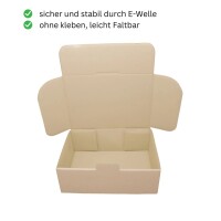 Faltschachtel 31 x 23 x 11 cm - Versandkarton Fefco 0426