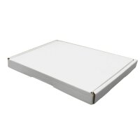 Großbrief-Karton 190x165x20 mm weiß...