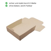 Maxibrief-Karton 160x110x50 mm braun DIN A6