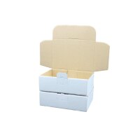 Maxibrief-Karton 160x110x50 mm weiß DIN A6
