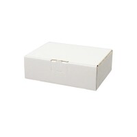 Maxibrief-Karton 160x110x50 mm weiß DIN A6